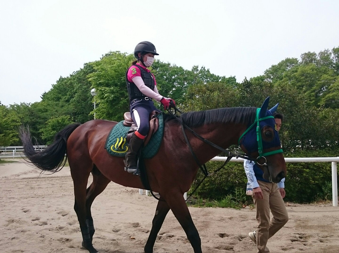 Japan Racing Association Racehourses Research Institute Tokiwa Branch