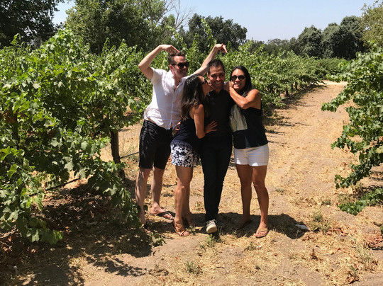 Wellington Coach Wine Tours and Transportation-索尔万必去景点