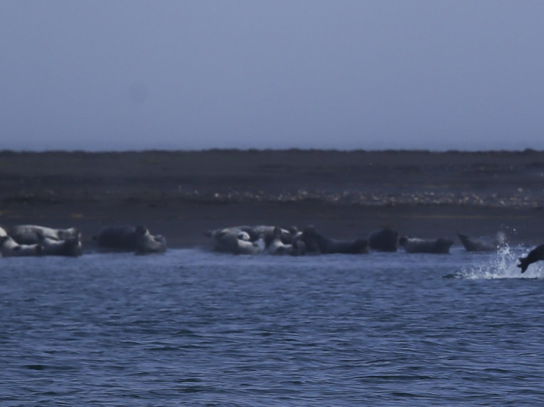 Anastadastapi-Vatnsnes必去景点