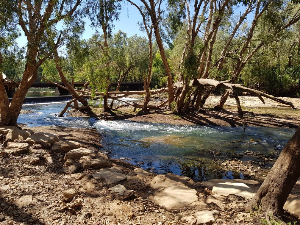 Low Level Nature Reserve-凯瑟琳必去景点