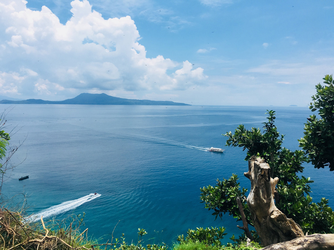 The Lighthouse主图