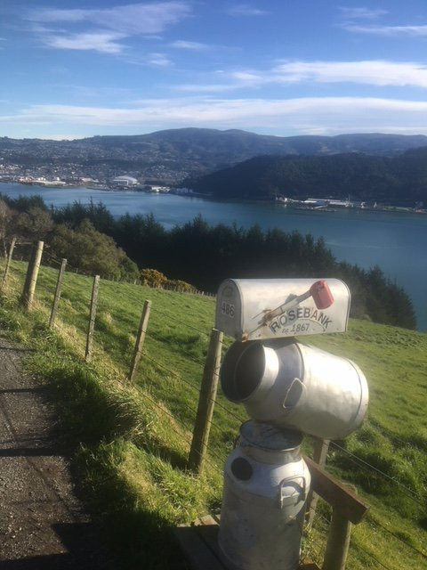 D-Tours Otago-但尼丁必去景点