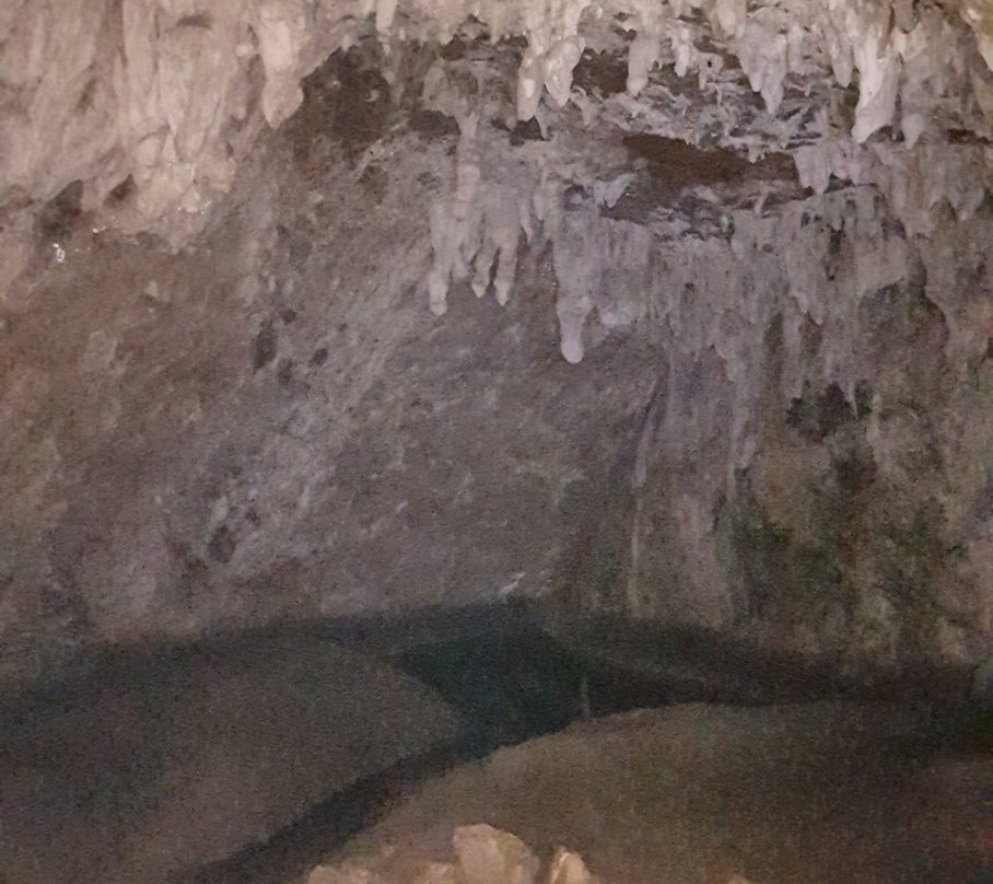 Sinicic Cave景点图片