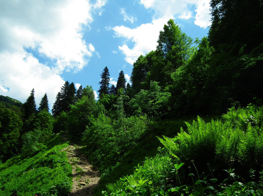 Alpine Meadows of Abkhazia景点图片