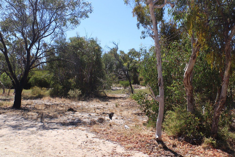 Aldinga Scrub Conservation Park景点图片