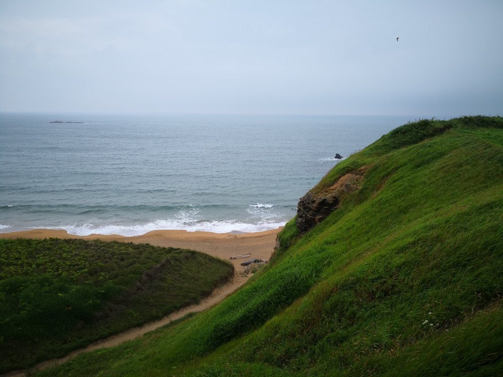 Playa de Verdicio景点图片