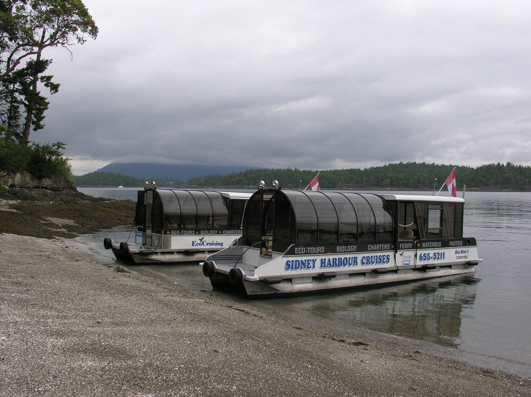 EcoCruising景点图片