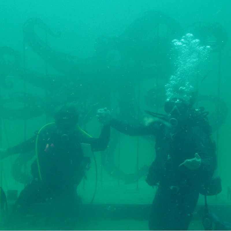 The Underwater Museum of Art景点图片