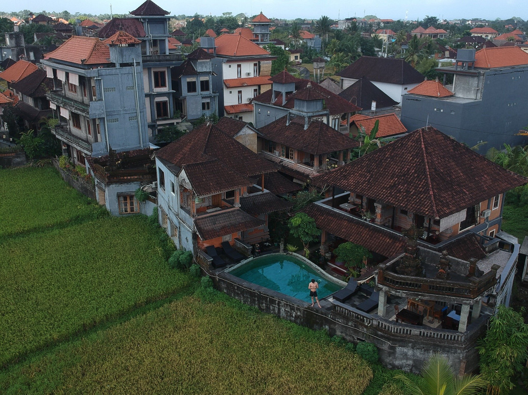 亚拉绿色潟湖旅馆主图