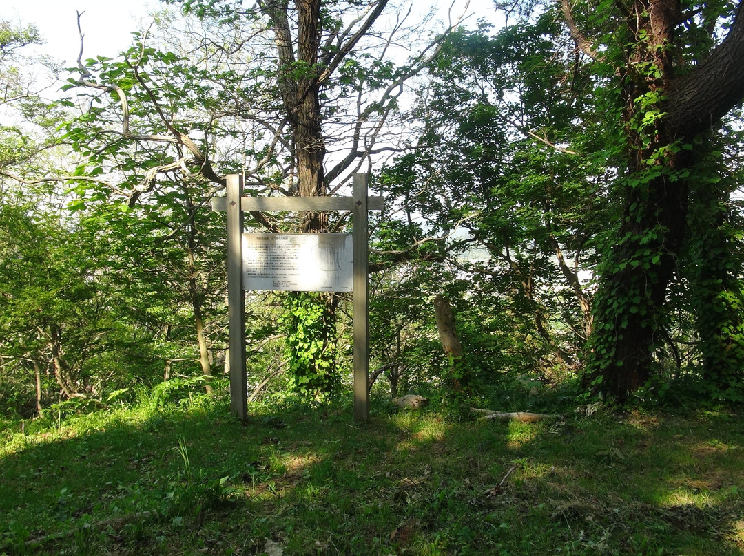 The Site of Hanazawadate景点图片