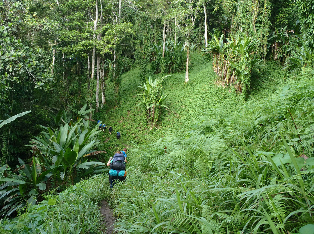 Escape Trekking Adventures-尼尔森湾必去景点