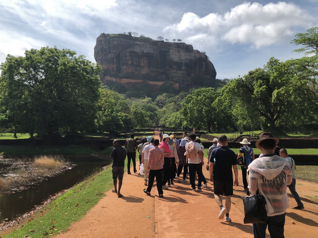Sri Lanka Responsible Drivers-科伦坡必去景点