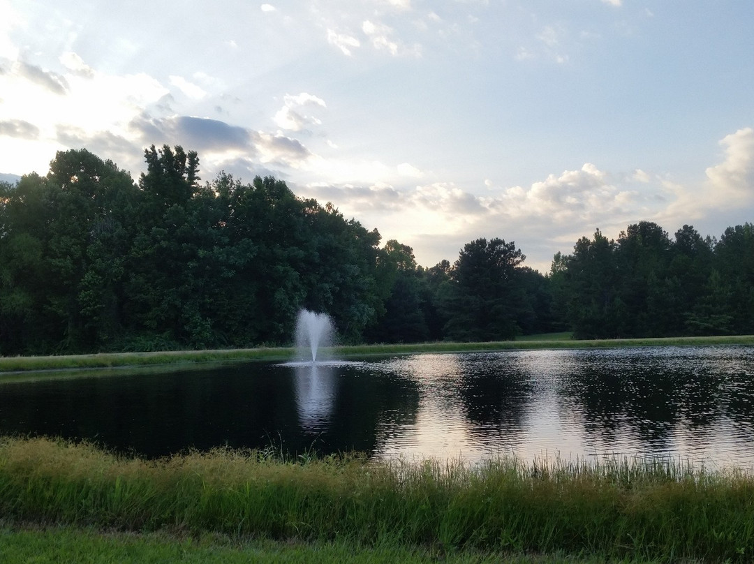 Shady Pines RV Park