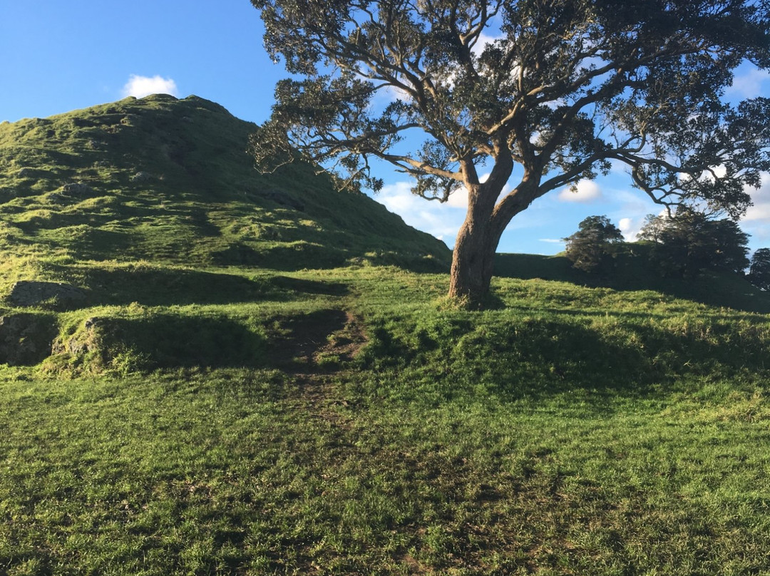 Mangere Mountain景点图片