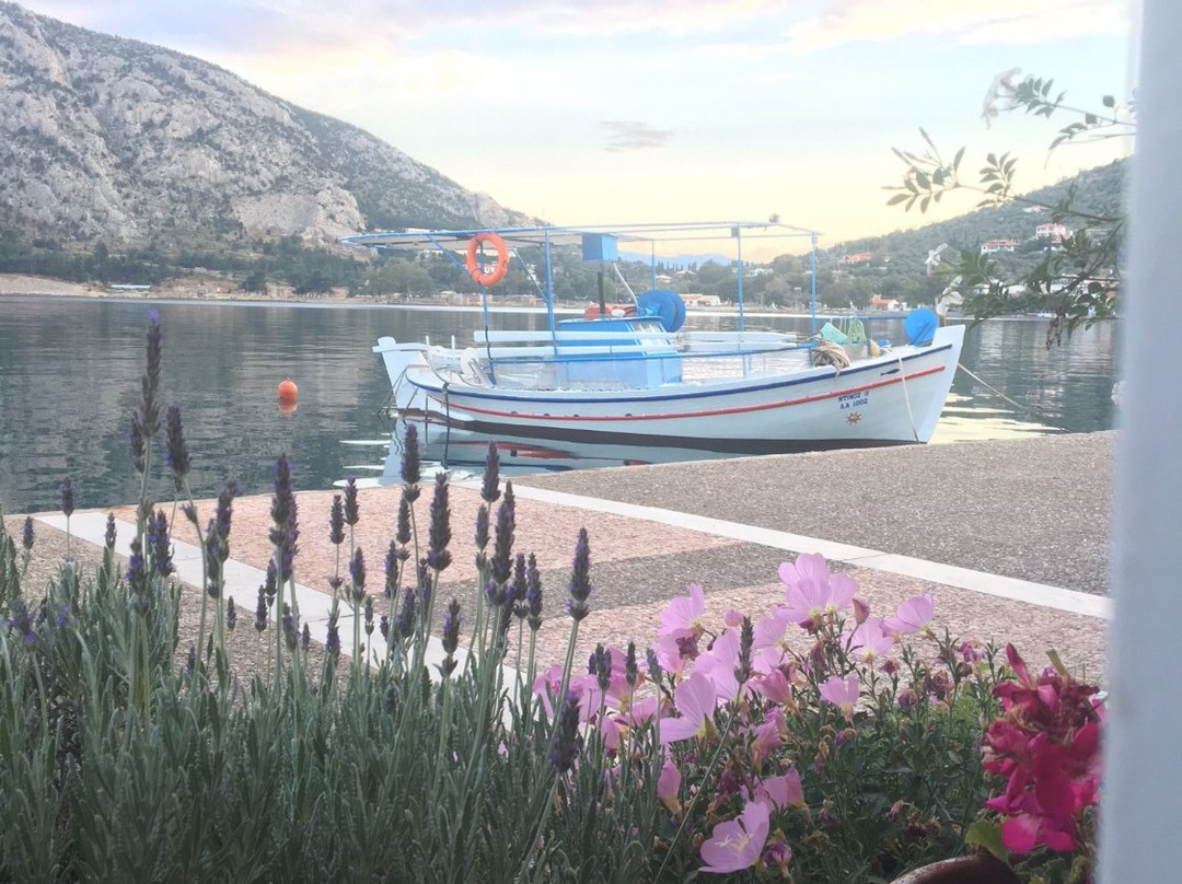 伊利达诺斯酒店主图