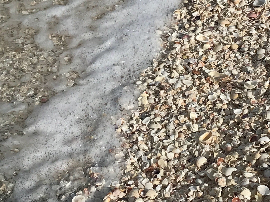 Captiva Pass-俘虏岛必去景点