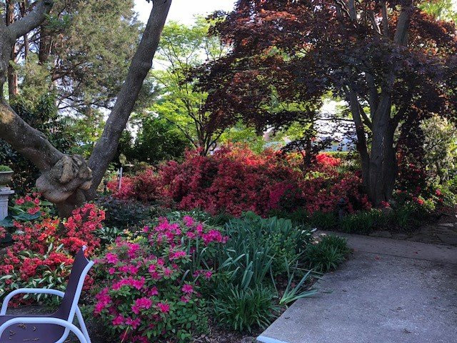 Back Creek Inn主图