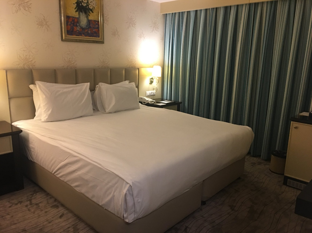 Wyndham Tashkent主图