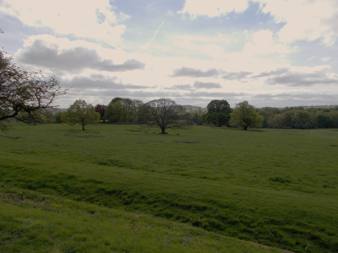 Northumberland National Park景点图片