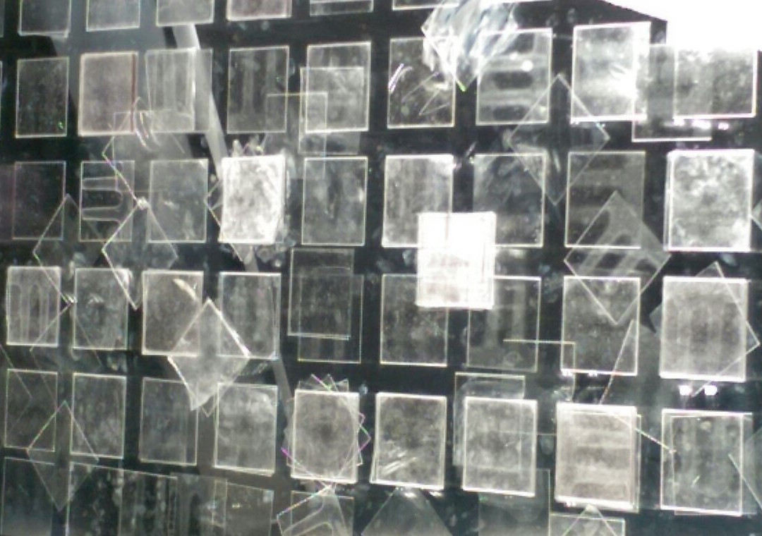 University of Wyoming Art Museum景点图片