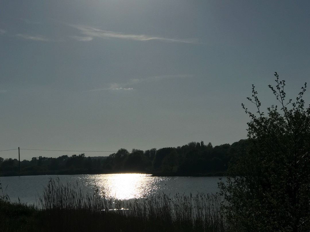 Cleethorpes Country Park景点图片