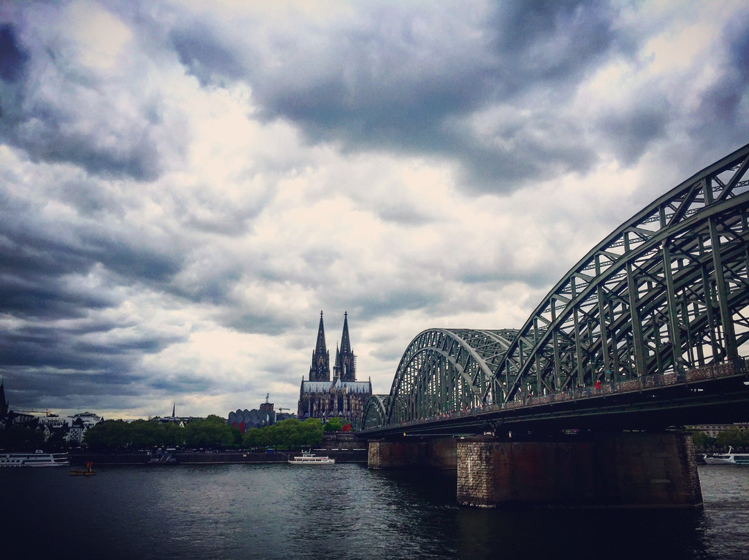 科隆丽晶凯悦酒店主图