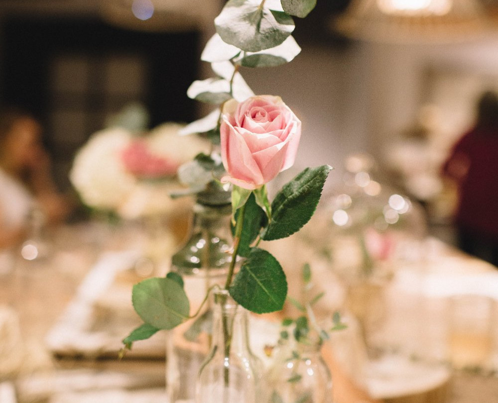 Birds & Words a Home Boutique-麦金尼必去景点