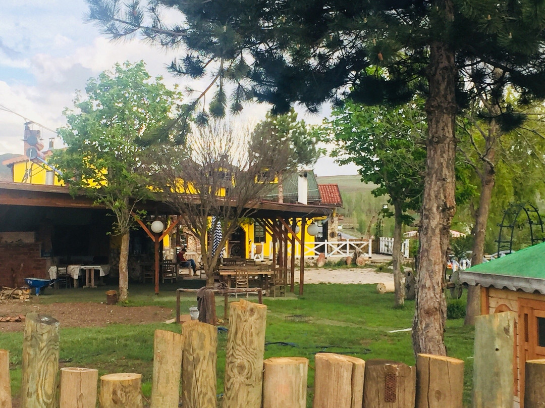 Kangal餐馆和美食-Bizim Ev Et Mangal