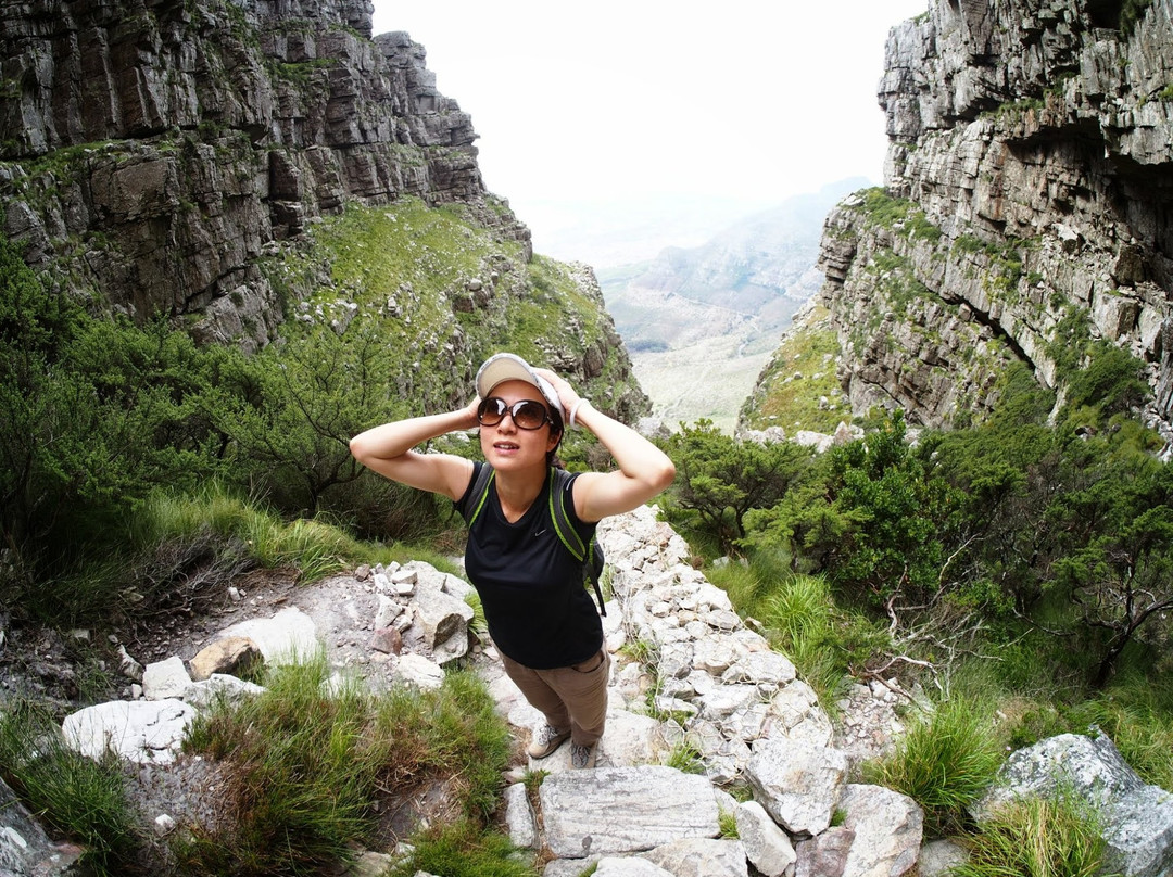 Table Mountain Hikes and Climbs景点图片