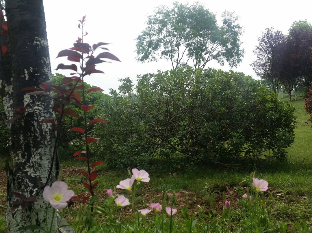 天生桥-溧水县必去景点