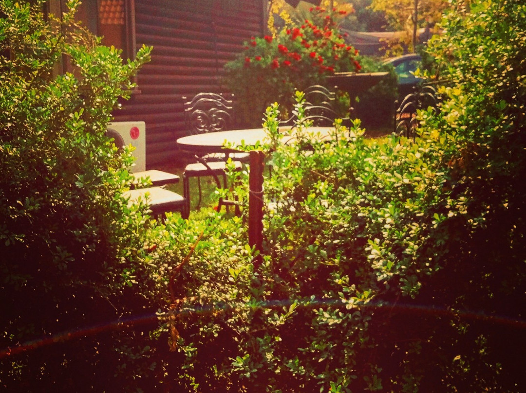 Habikta Cabin Resort主图