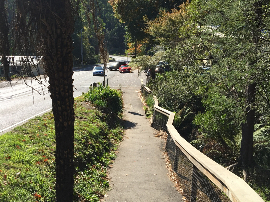Macclesfield旅游景点-Clematis Bushland Reserve