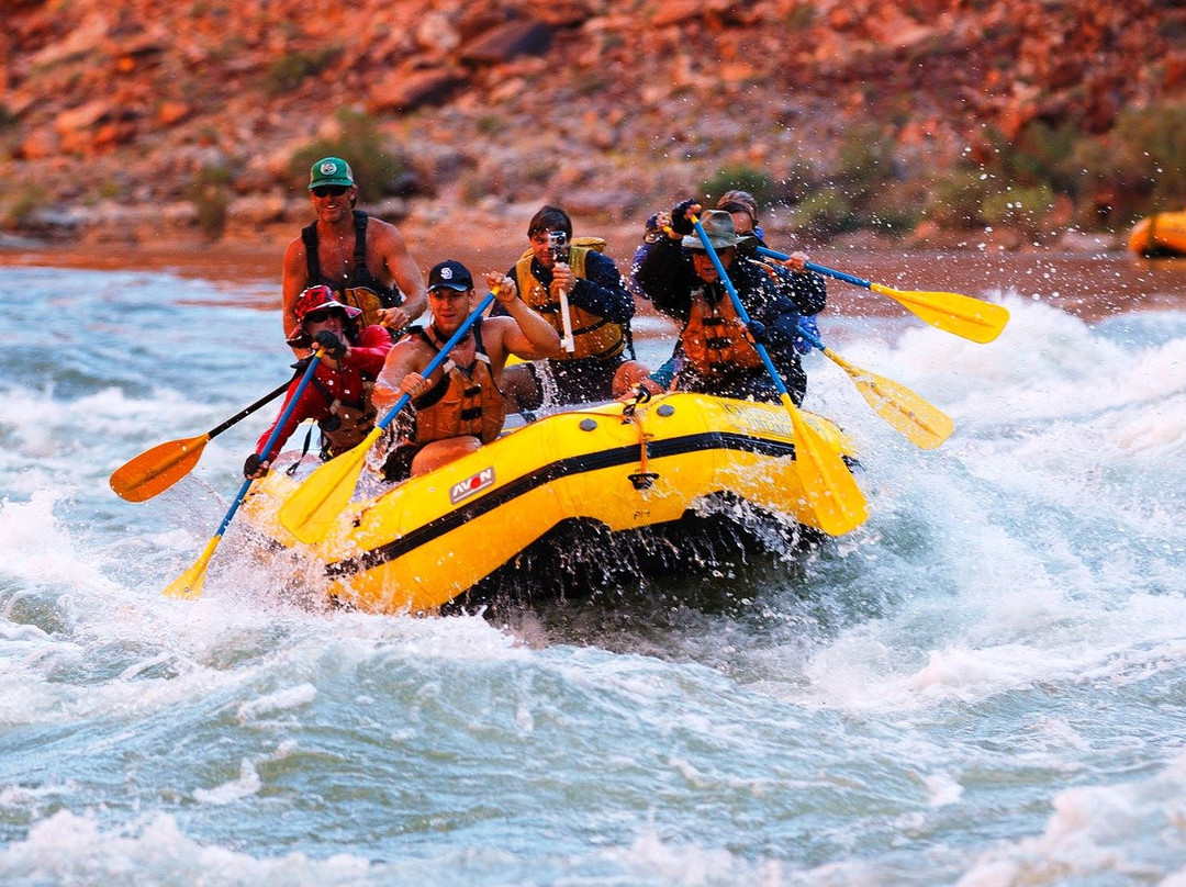 River View Adventures景点图片