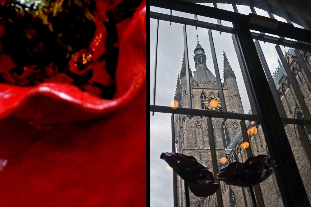 In Flanders Fields Museumcafé