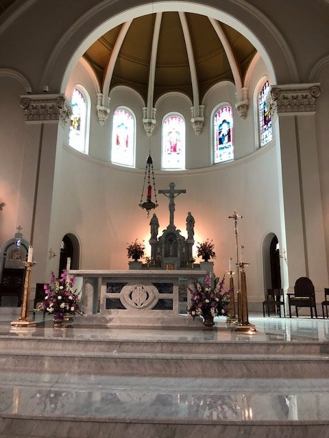 Cathedral of Our Lady of Lourdes景点图片