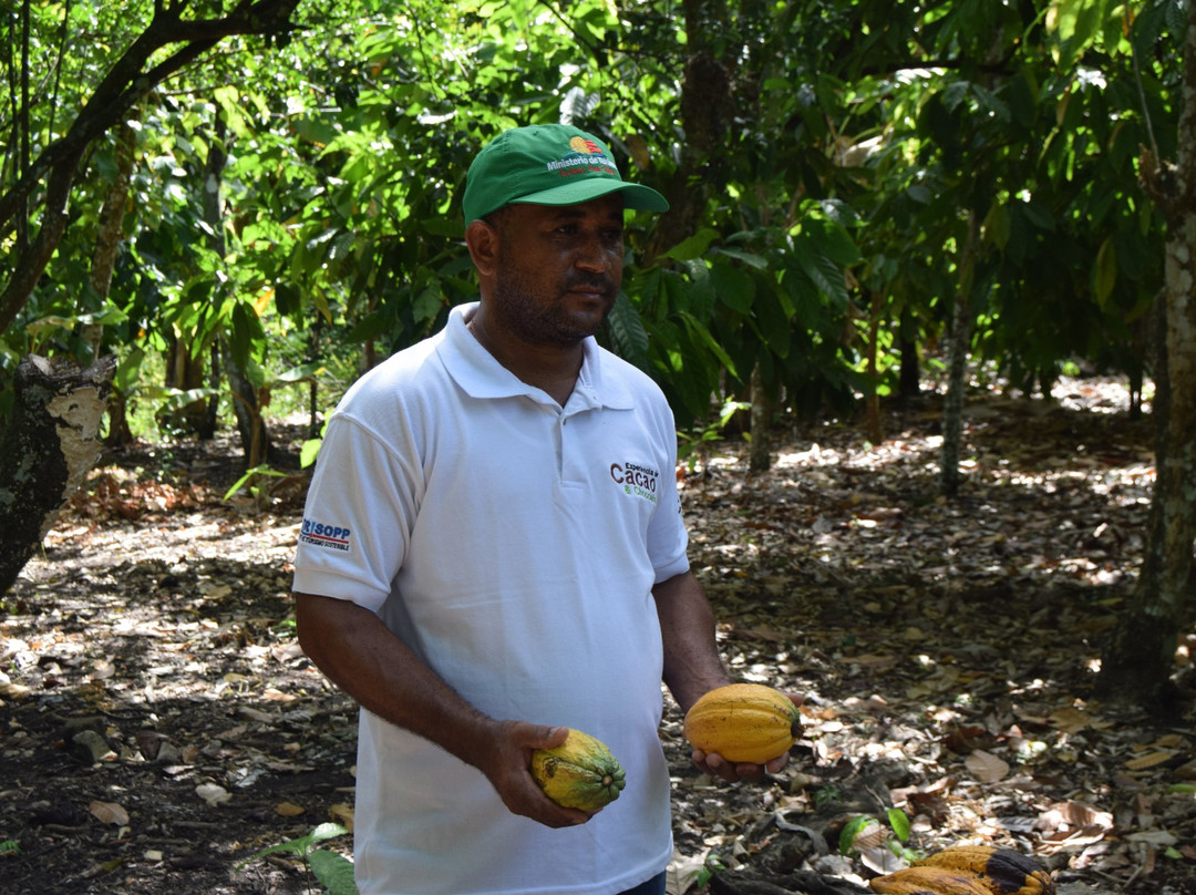 Hacienda Cufa-普拉塔港必去景点
