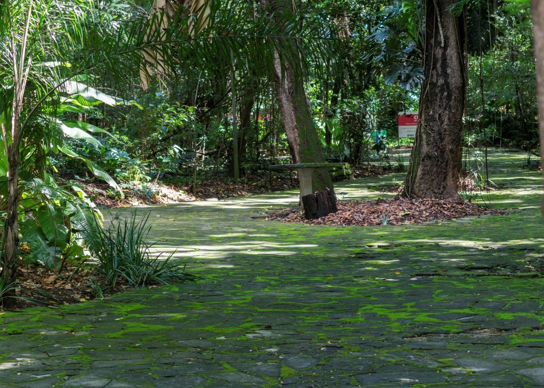 Bosque dos Alemães-坎皮纳斯必去景点