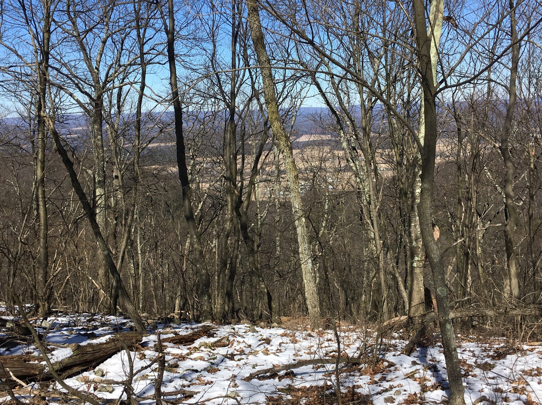 Rothrock State Forest-宾夕法尼亚州学院必去景点