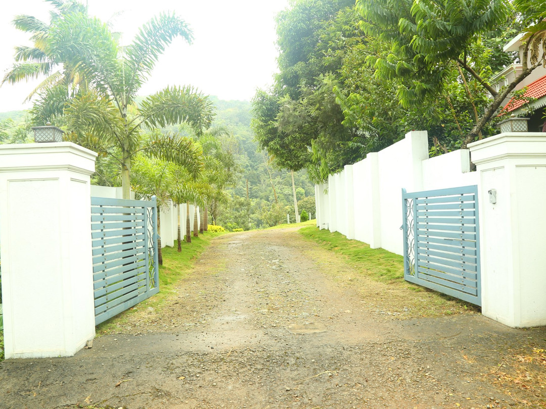 Mountain View Paradise主图