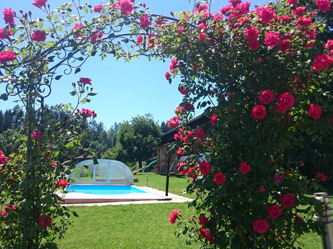 Erlebnisbauernhof Steinerhof In Kärnten主图