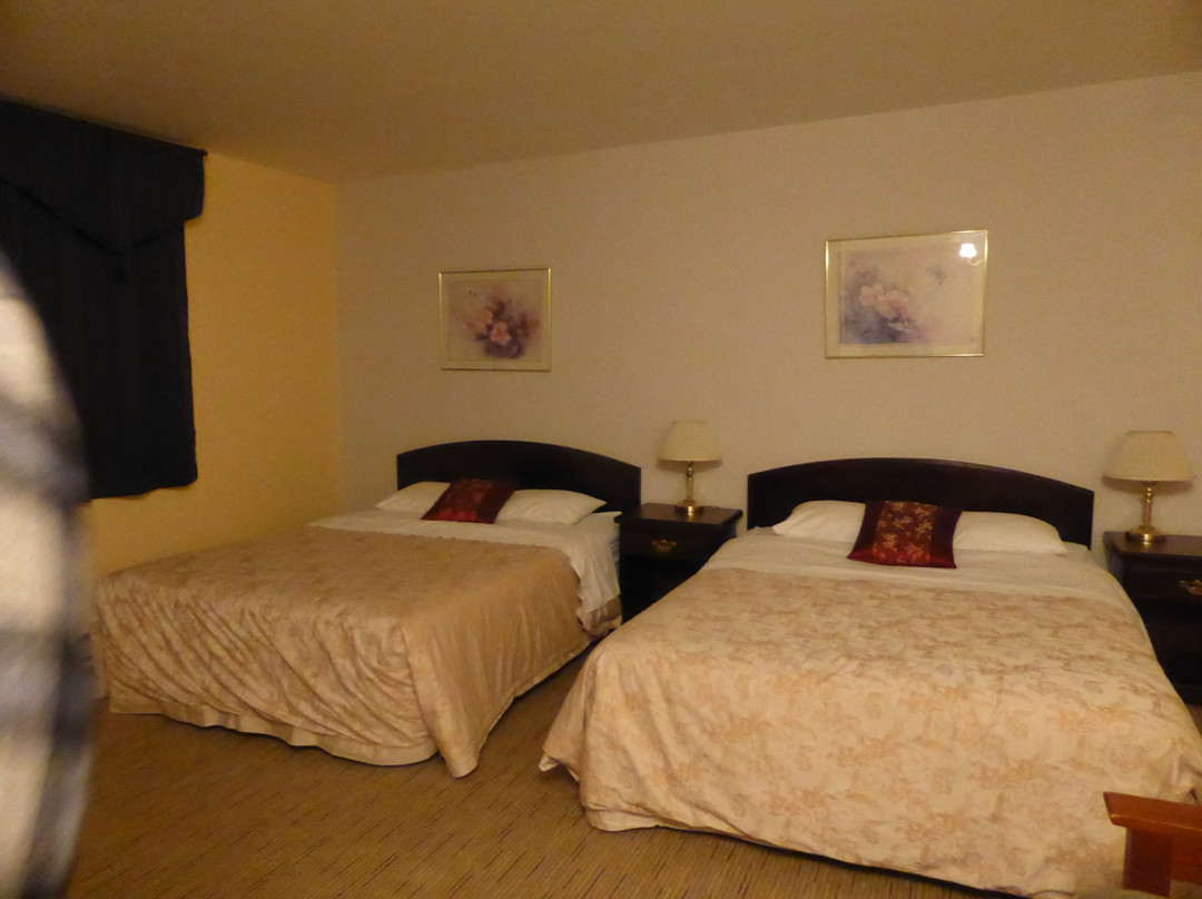 The Valhalla Inn主图