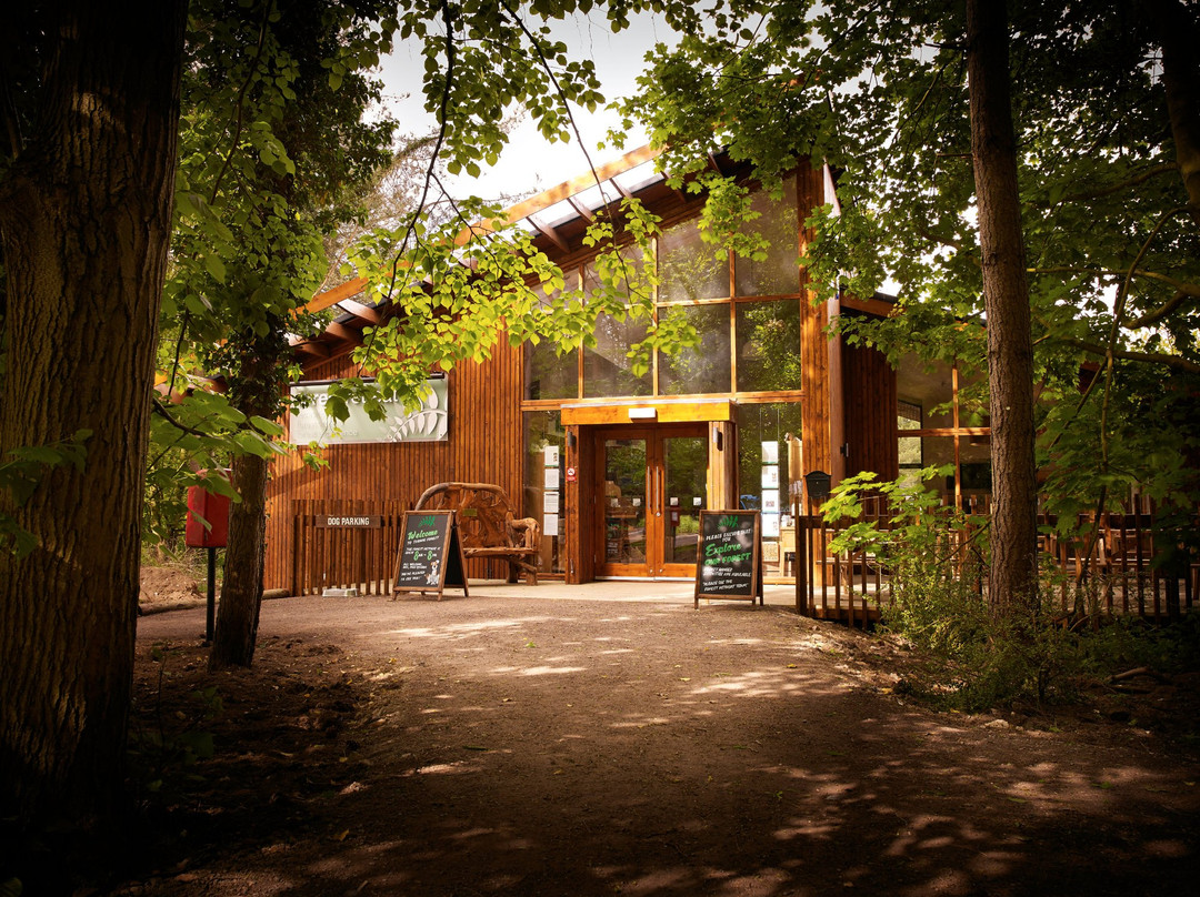 Forest Holidays Thorpe Forest