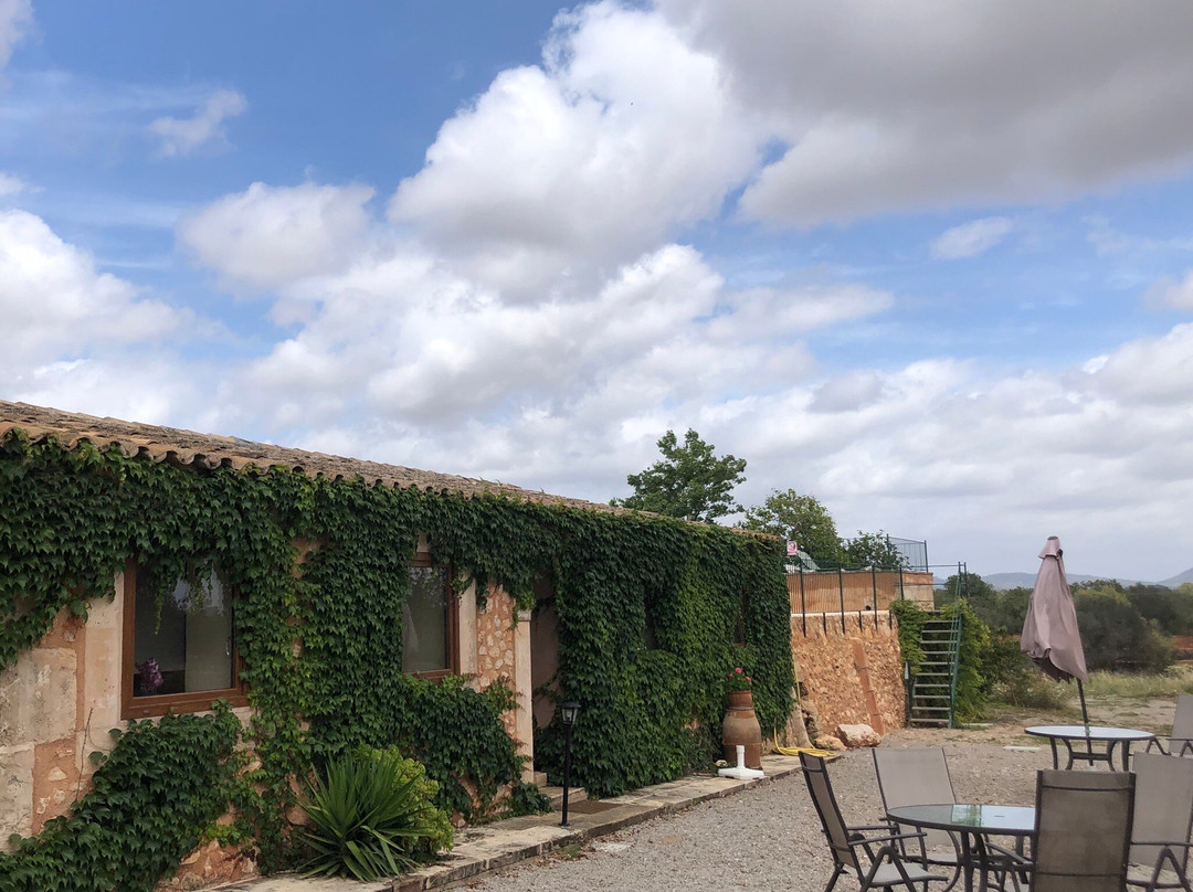 Finca sa Cova d'en Borino