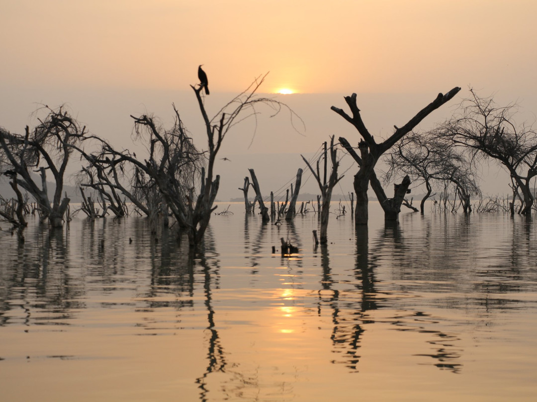Lake Baringo景点图片