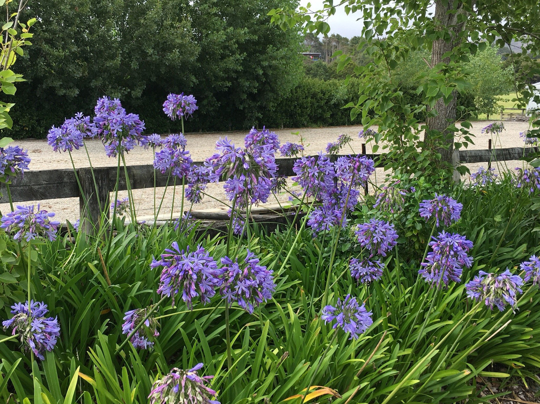 Country Homestead at Black Sheep Farm主图
