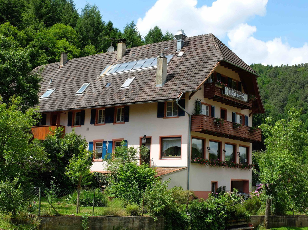 Seelbach酒店住宿-Gasthaus Schwert