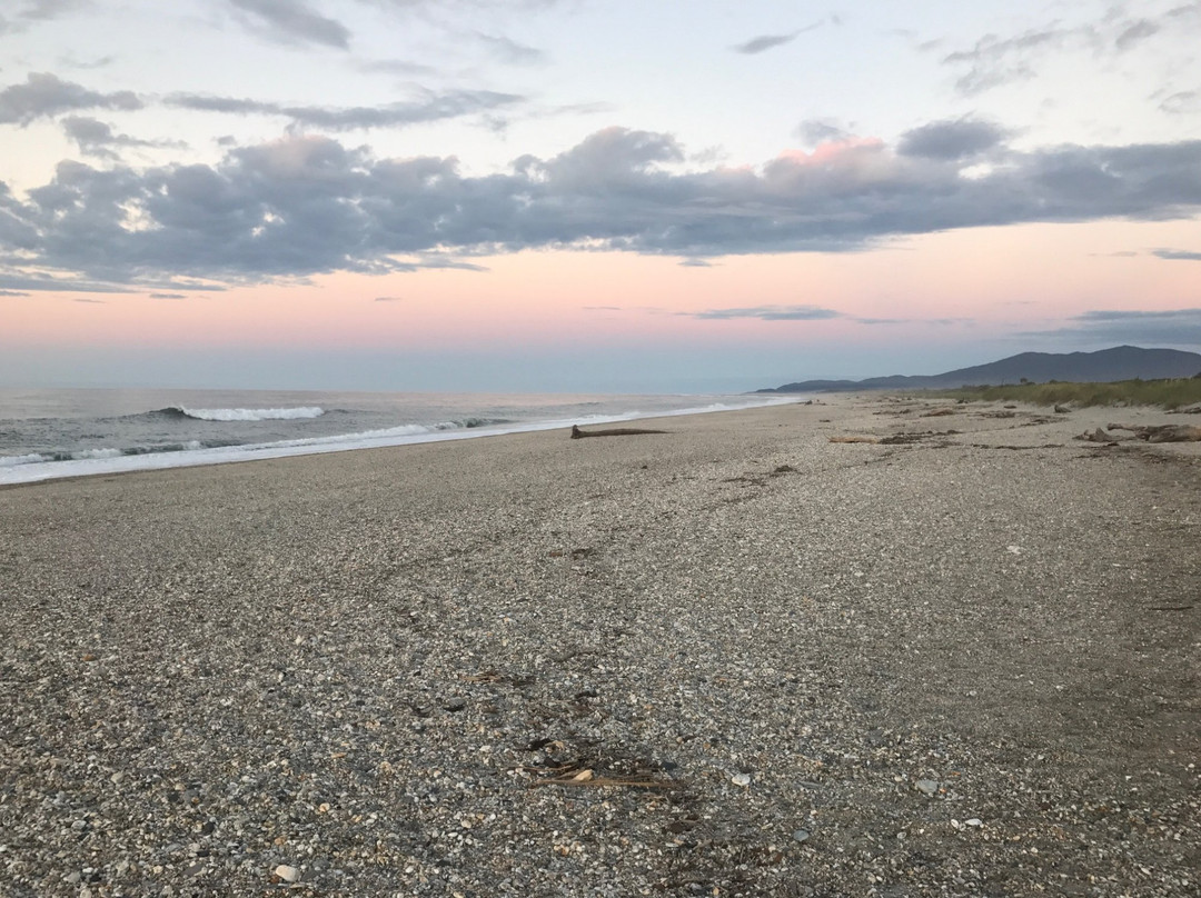 Haast Beach Motel主图