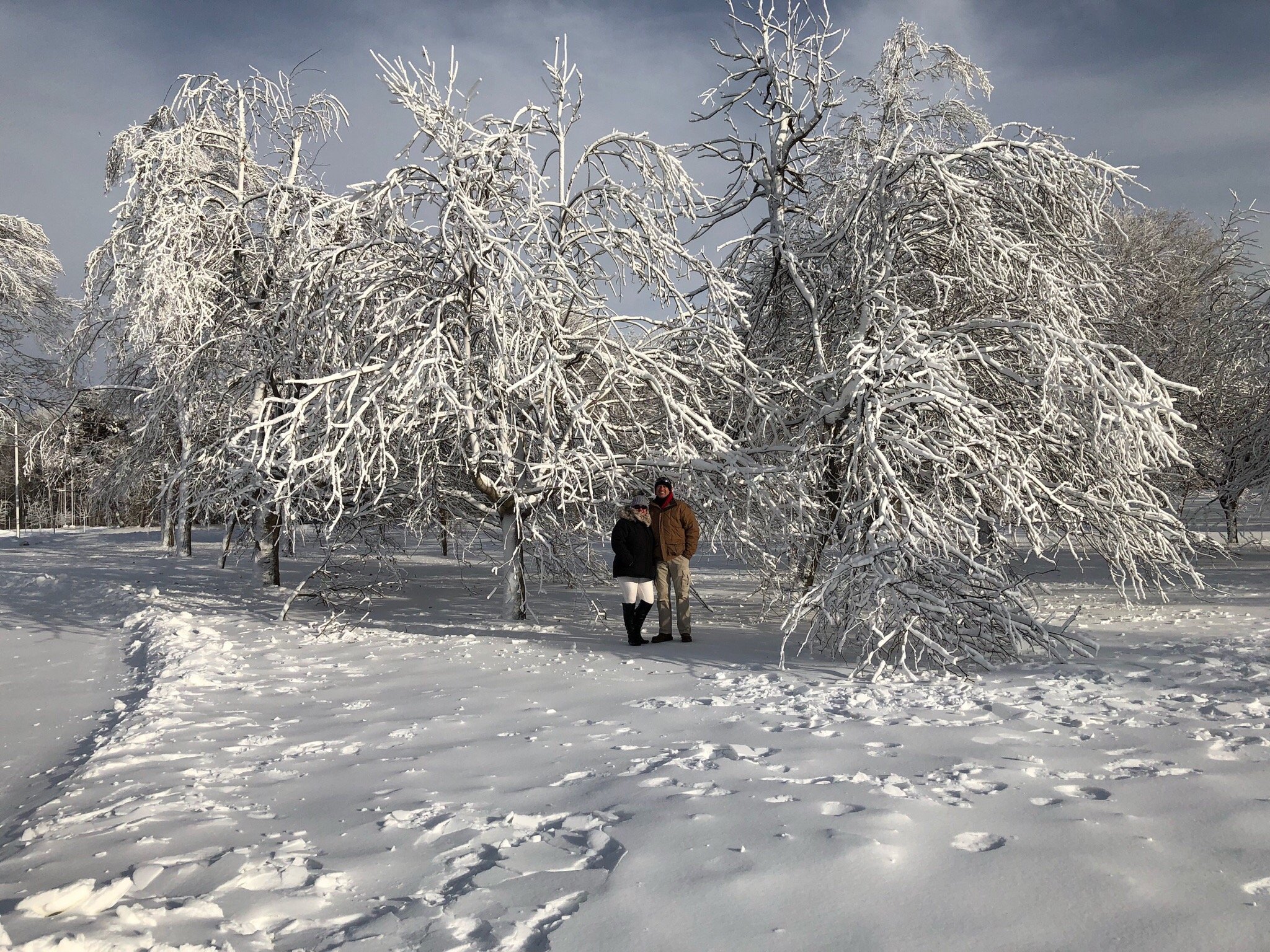 尼亚加拉瀑布景观福朋喜来登酒店-官方