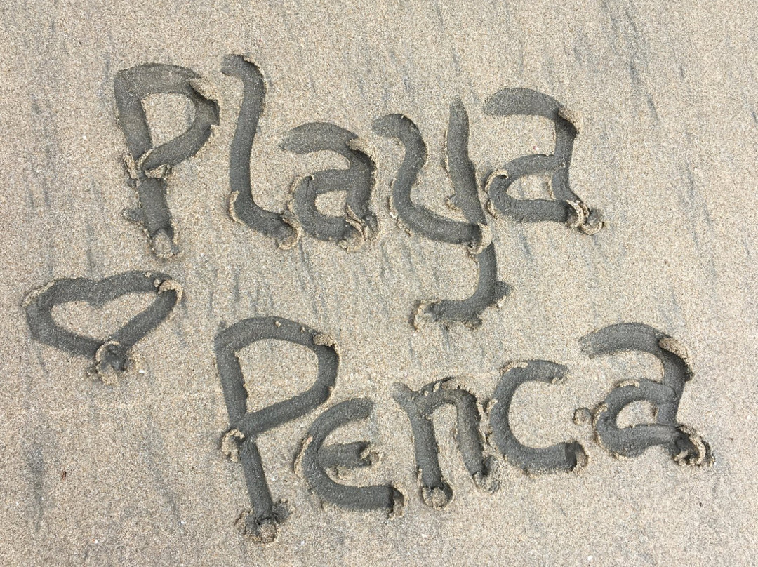 Penca Beach-波特雷罗必去景点