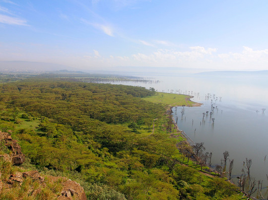 Book Direct Kenya Safaris-蒙巴萨必去景点